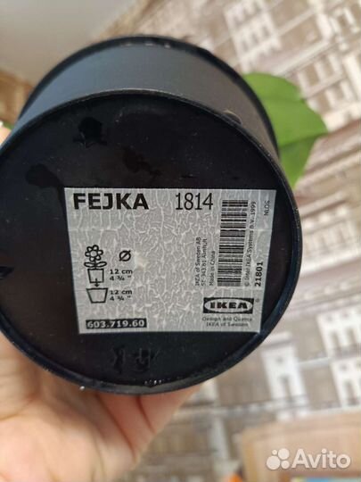 Орхидея фаленопсис искусст. Икеа