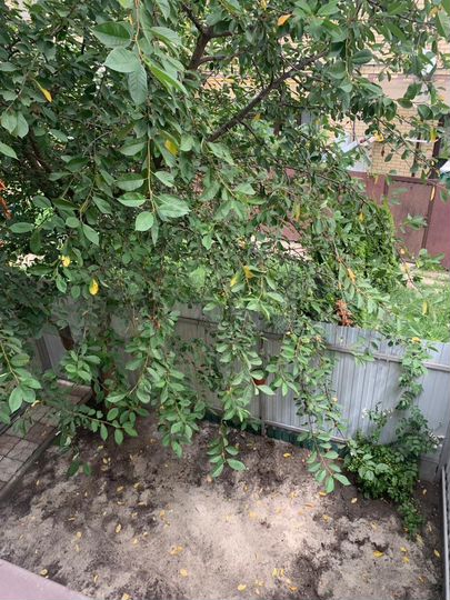 Таунхаус 106,8 м² на участке 4 сот.