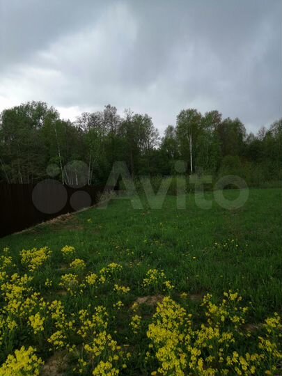 Участок 25 сот. (СНТ, ДНП)