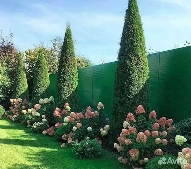 Ландшафтный дизайн