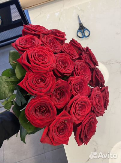 Розы красные. Розы 25 шт. Розы 51 шт