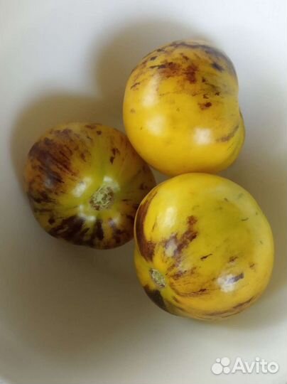 Семена томатов (помидор)