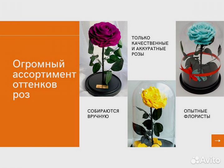 Живая роза в колбе