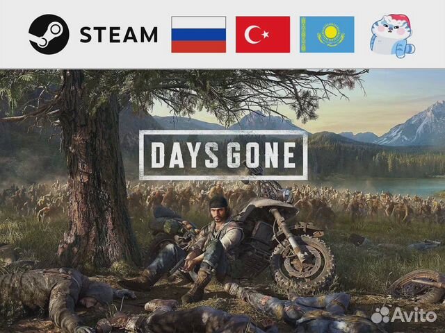Days Gone (Steam)