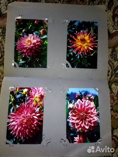 Открытки СССР