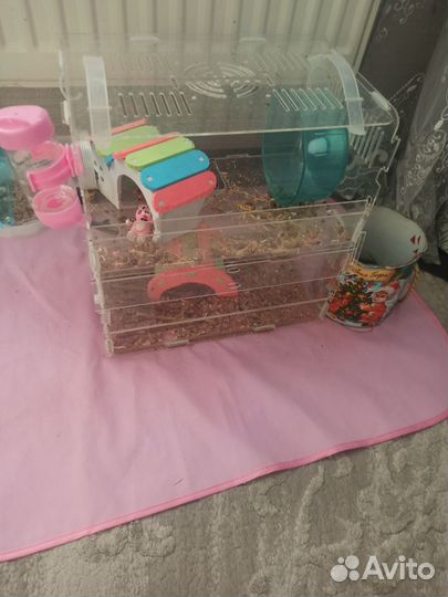 Клетка для грызунов бу