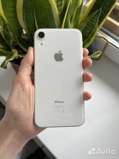 iPhone Xr, 128 ГБ
