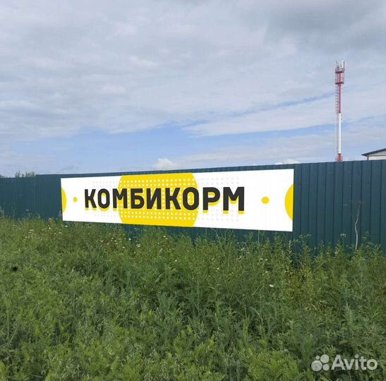 Комбикорм. Зерно