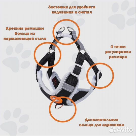 Шлейка для собак