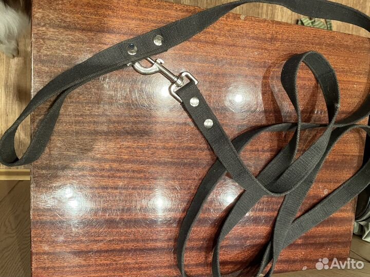 Поводок для собак