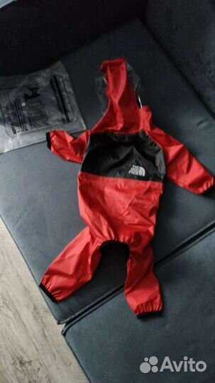 Одежда для средних собак