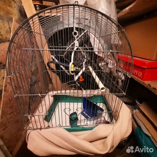 Клетка для волнистого попугая