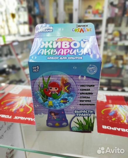 Набор для опытов «Живой аквариум-флорариум», с рус