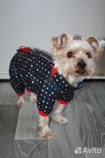 Комбинезон зимний для собак