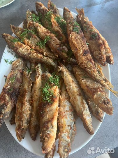 Корюшка зубатка. Размер 18+