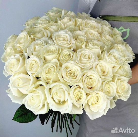 Высокие розы Гигантские Розы 150 160 170 180 190см