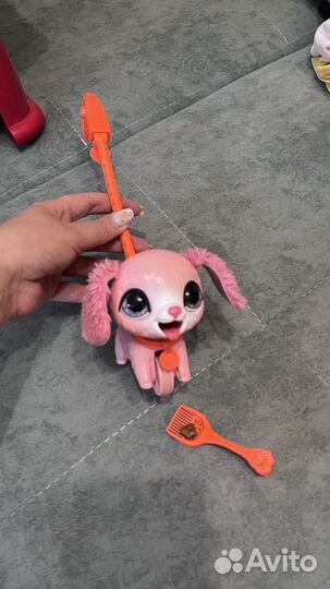 Собака на поводке