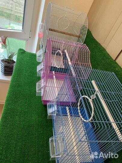 Клетка и вольер