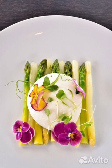 Шеф-повар, Бренд шеф, Руководитель проекта