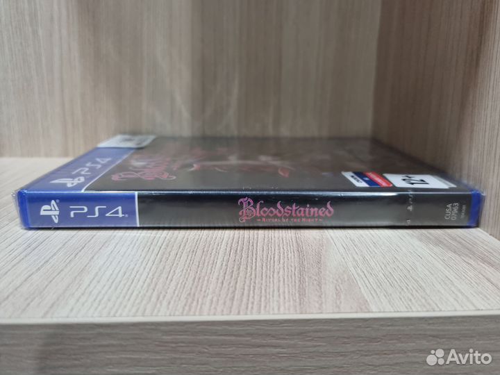 Bloodstained Ritual of the Night ps4