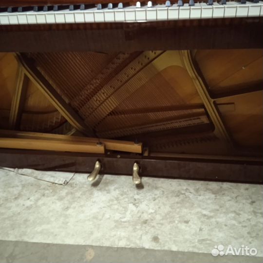 Пианино zimmermann