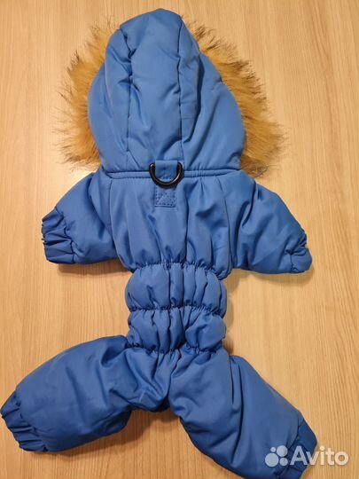 Одежда для собак