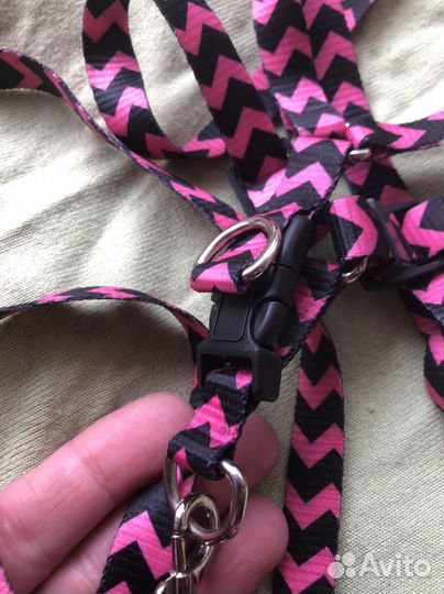 Шлейка с поводком, ошейники