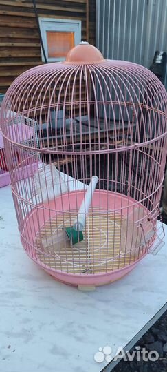 Клетка для попугая бу