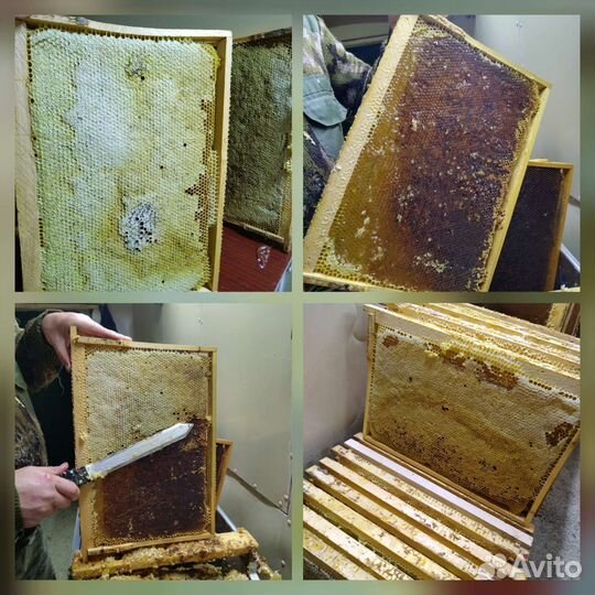 Продукты пчеловодства