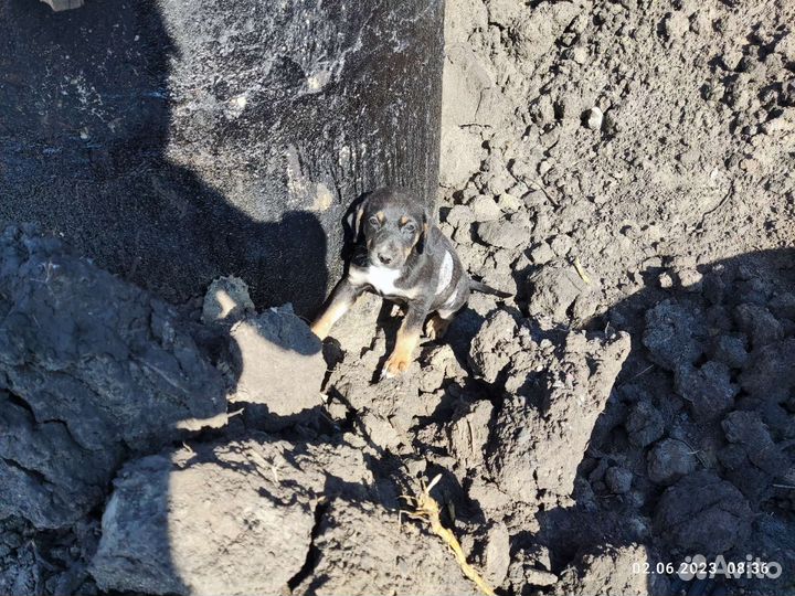 Малыш на стройке