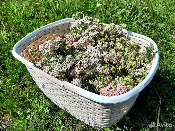 Зубная паста натуральная, ручной работы