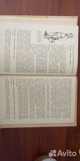 Кузин Основы обучения изоискусству в школе