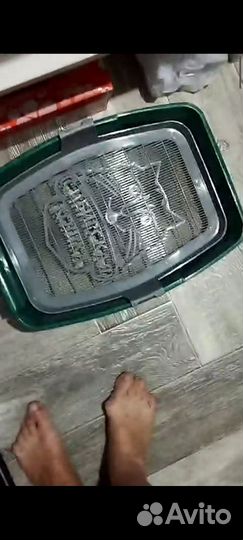 Отдам кота в добрые руки