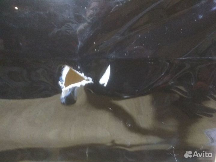 Дверь Mercedes Benz X166