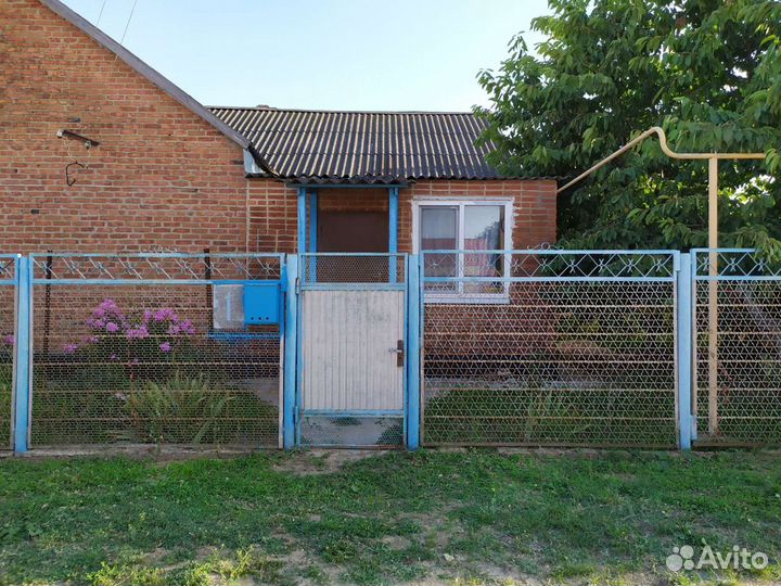 Овощи и фрукты