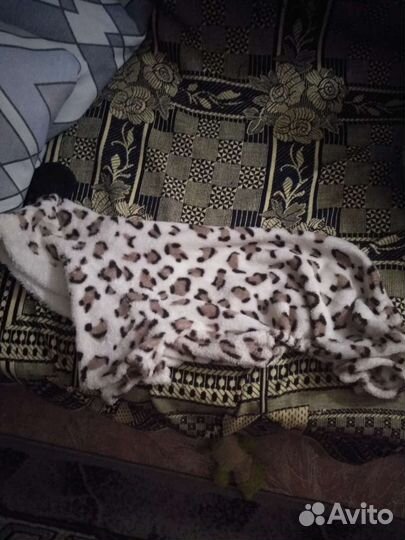 Одежда для собак