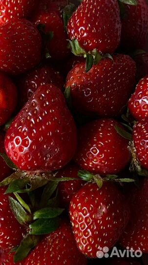 Ягода оптом 24 июля