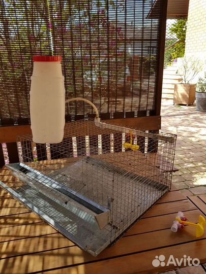 Клетка для перепелов