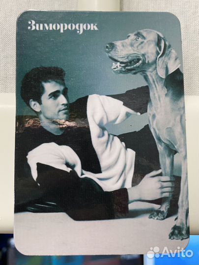 Магниты по сериалу Зимородок