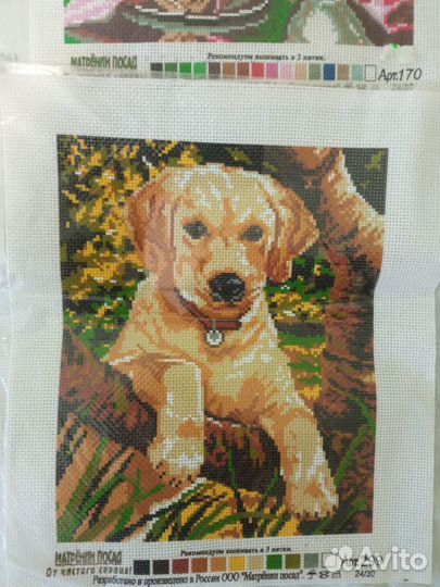 Канва с рисунком