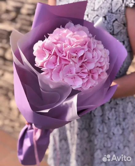 Букеты Горцензия 1 сентябя доставка