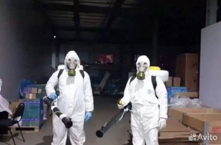 Дезинфекция Уничтожение Насекомых Грызунов Крыс