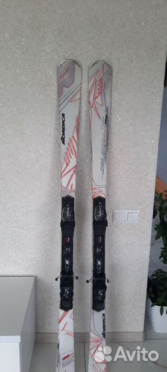 Горные лыжи