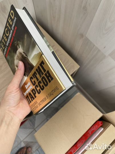 Книга - «девушка, которая застряла в паутине»