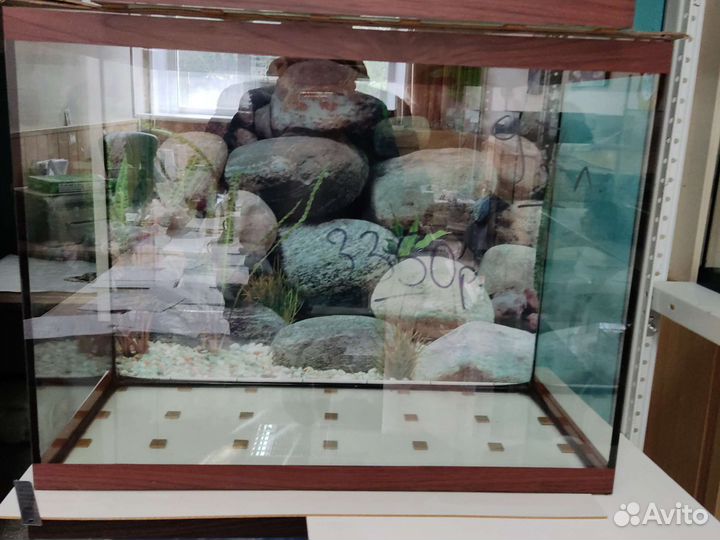 Аквариум