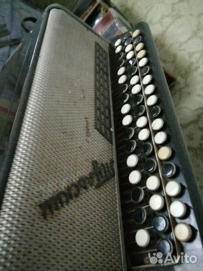 Баян тульский