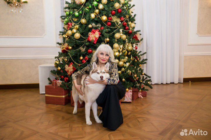 Ведущая свадеб, юбилеев, корпоративов