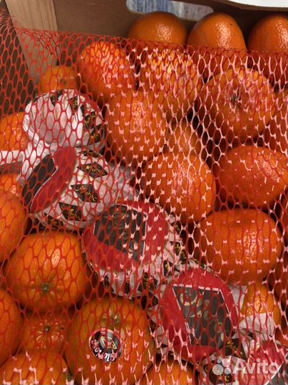 Мандарин Морокко 10кг