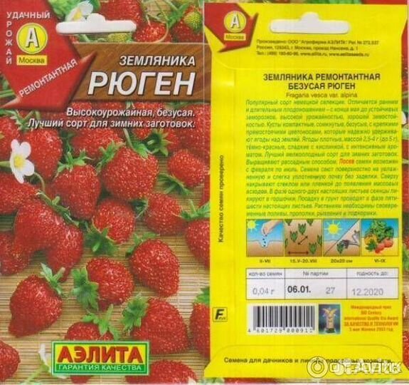 Рассада:земляника, петунии,сельдерей и др