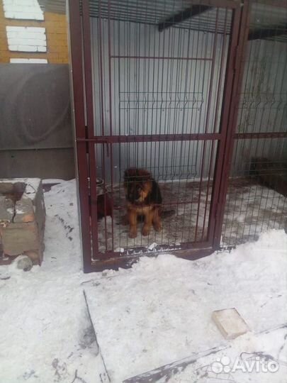 Вольер для собак